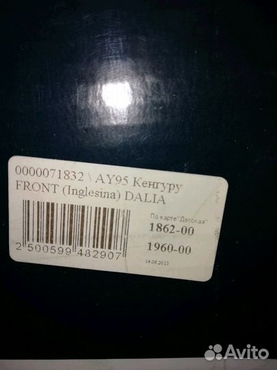 Кенгуру inglesina