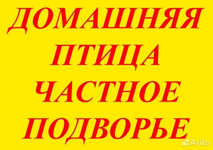 Индейка печень
