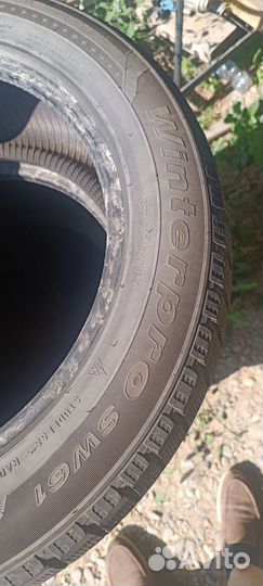 Sailun Winterpro SW61 225/55 R17 97M