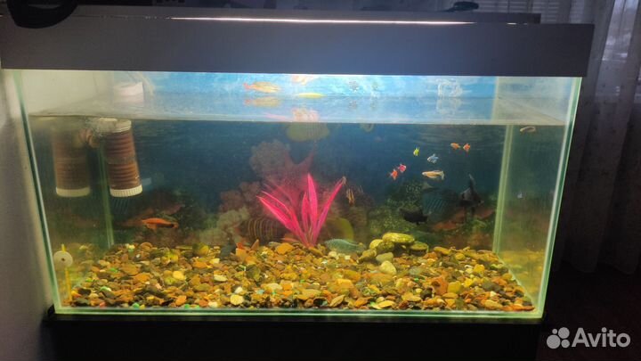 Аквариум 200 литров с тумбой