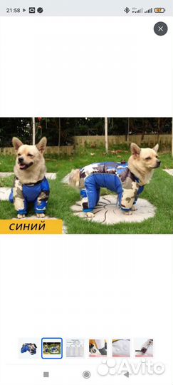 Зимний комбинезон новый