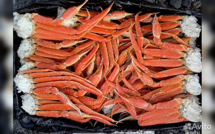 Конечности краба стригуна