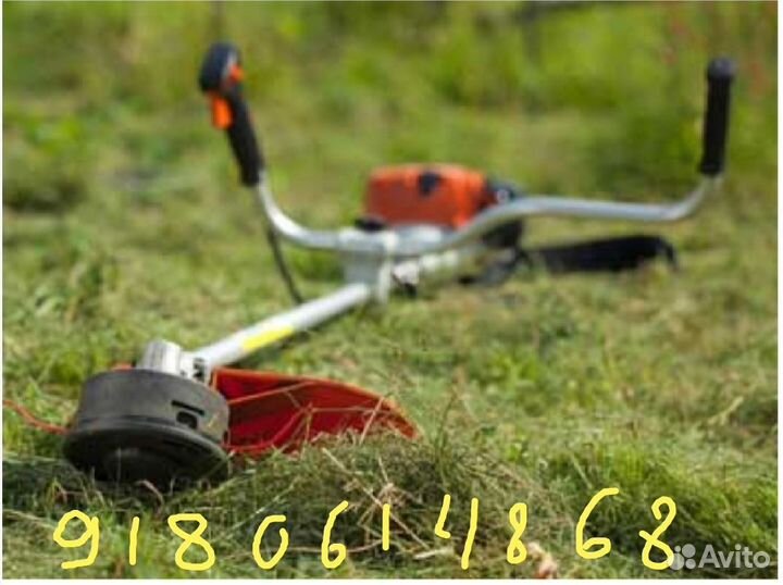 Покос травы, Раевская