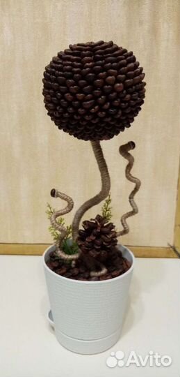 Топиарий из зёрен кофе