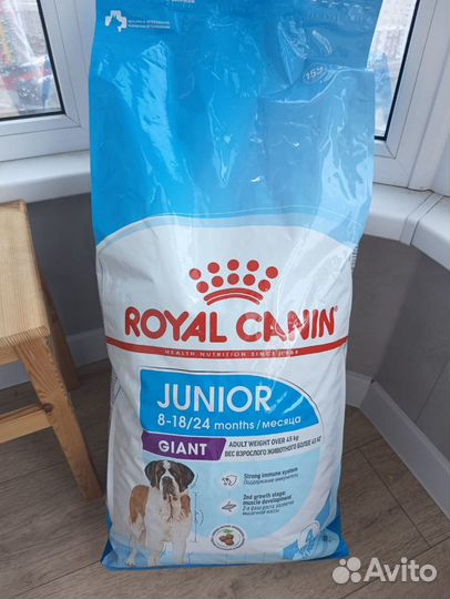 Royal canin giant junior для собак