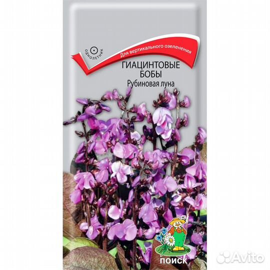 Гиацинтовые Бобы Рубиновая луна