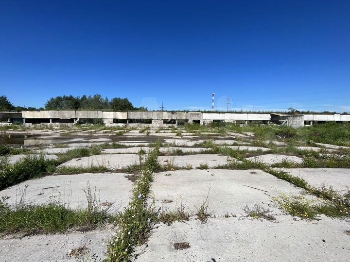 Участок 5 га (промназначения)