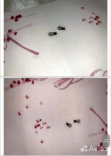 Картина Ци Байши