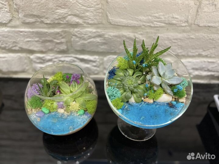 Флорариумы на 1 сентября