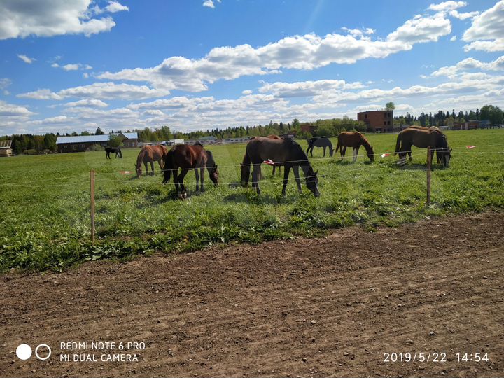 Дом 160 м² на участке 20 сот.