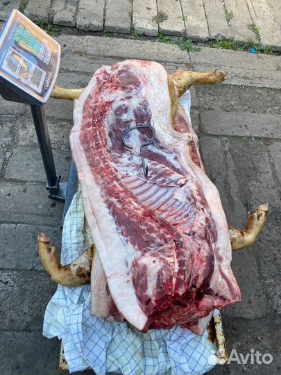 Мясо свинина домашняя