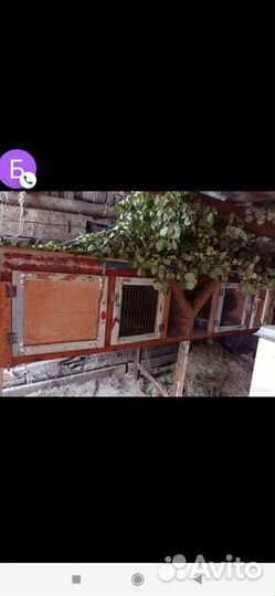 Клетки для кроликов