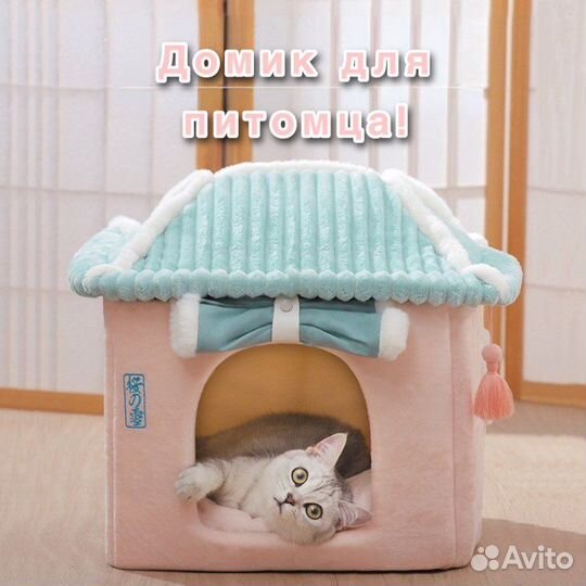 Кошачий домик