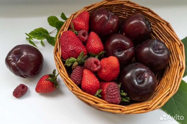 Корзина плетеная для подачи фруктов