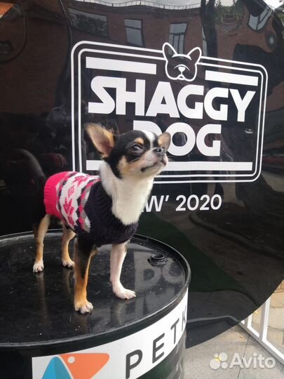 Кабель чихуахуа для вязки