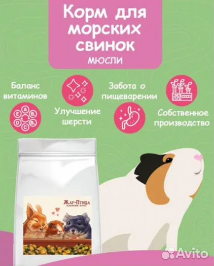 Корм для морских свинок