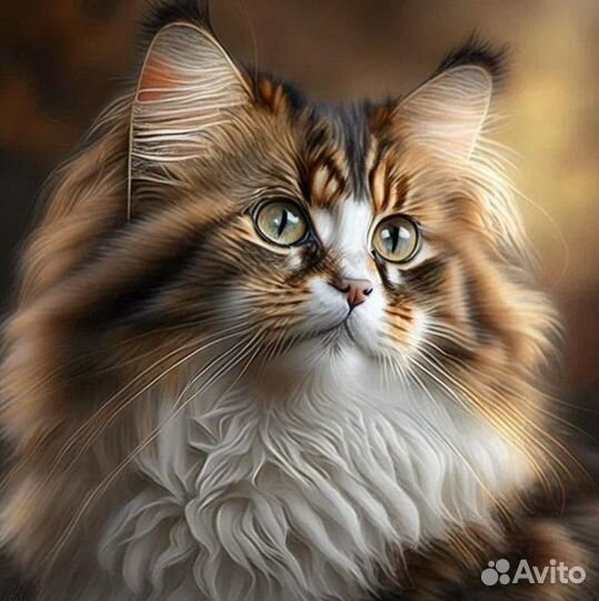 Chat Gpt 4 на русском вечная подписка