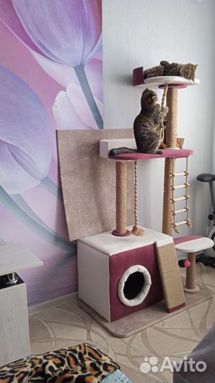 Домик игровой комплекс для кошек