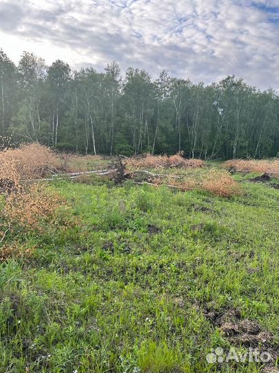 Дрова бесплатно