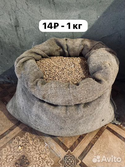 Пшеница в мешках/ кукуруза в мешках/семечка