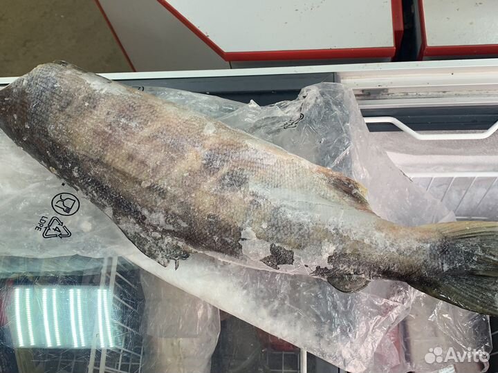 Горбуша, кета, нерка с/м