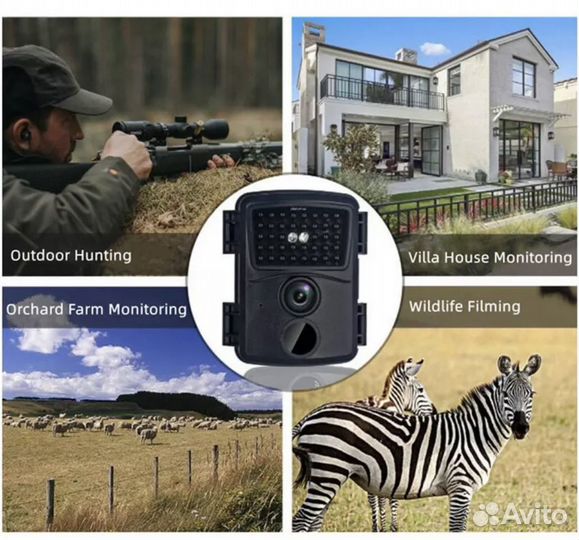 Фото ловушка с ночным видинием охота