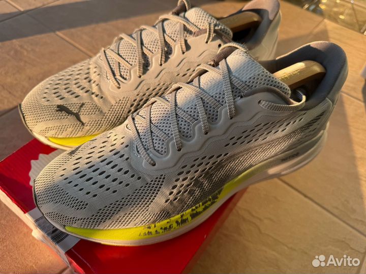 Puma nitro magnify, 43,5