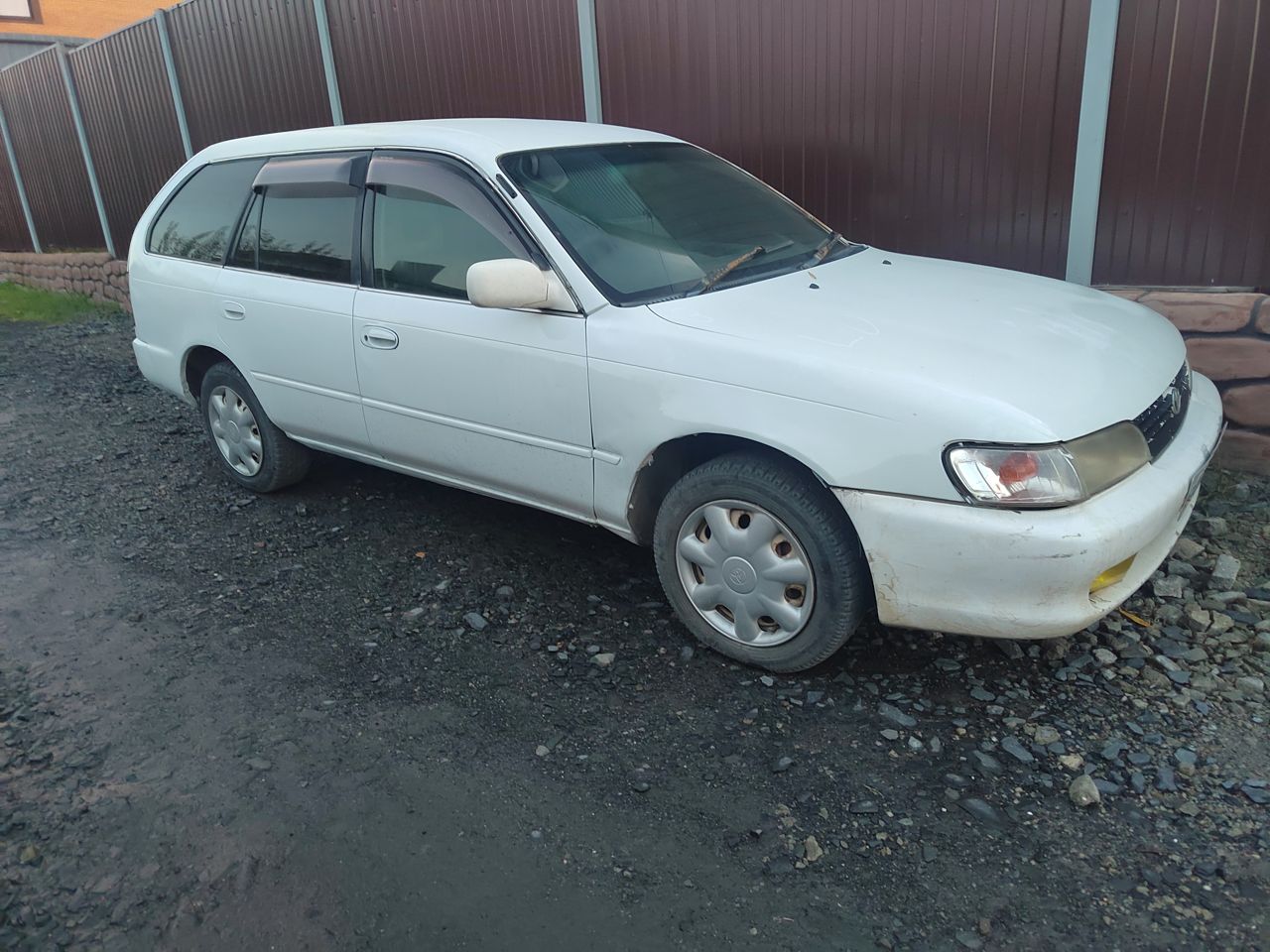 Toyota Corolla: фото владельца