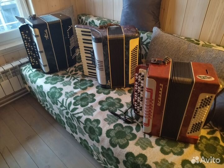 Баян огонек 2