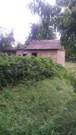 Дом 52,2 м² на участке 43 сот.