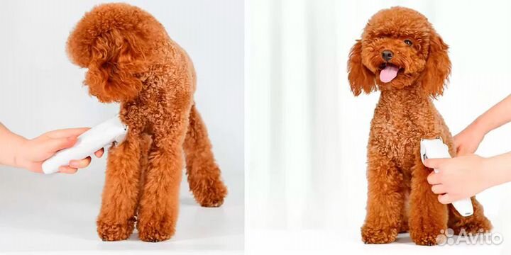 Машинка для стрижки животных Xiaomi Pawbby Pet