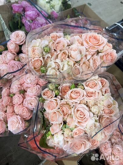 Цветы оптом в г. Белгород