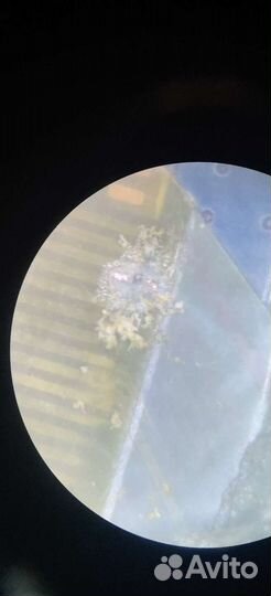 Ремонт телефонов и пк