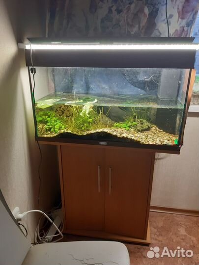 Аквариум Juwel (180 литров)