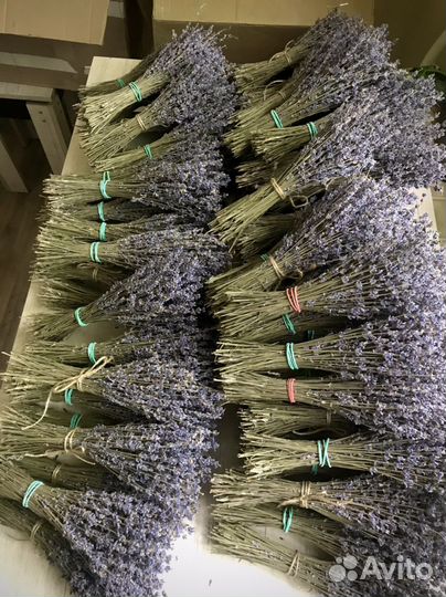 Лаванда сухоцвет