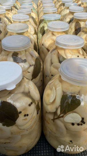 Грузди солено-вареные