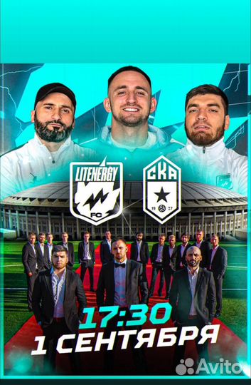 Билет на матч Литвина