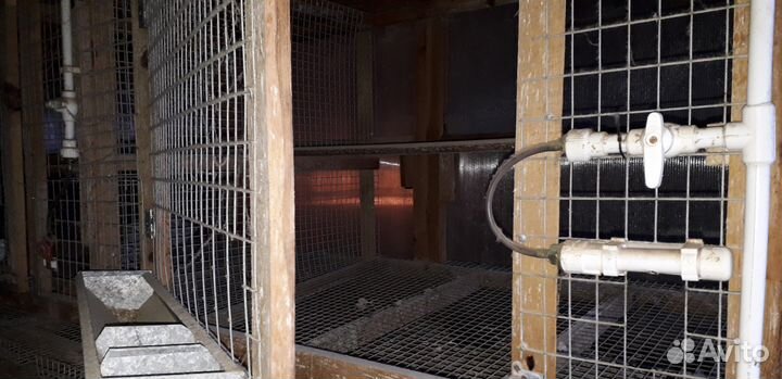 Клетка-батарея для кур-несушек или бройлеров