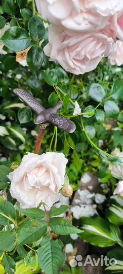 Колышки для поддержки растений