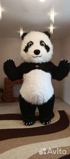 Панда,Белый Мишка,Миша,Зайка-аниматор,поздравление