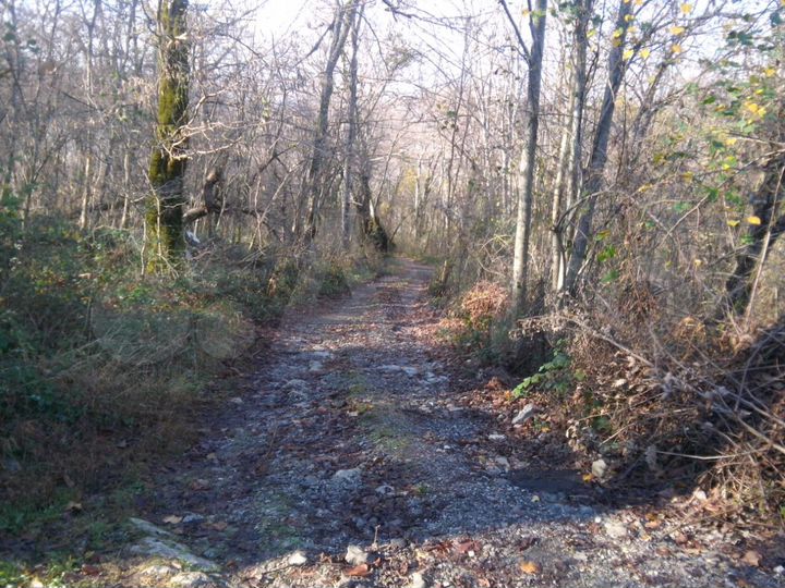 Дача 100 м² на участке 12 сот.