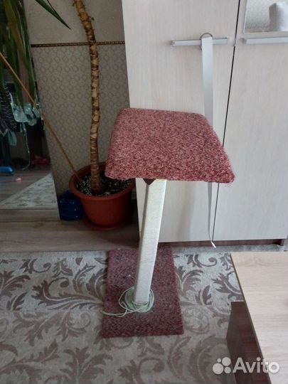 Когтеточка