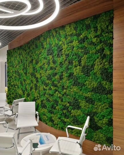 Панно из мха, вертикальное озеленение