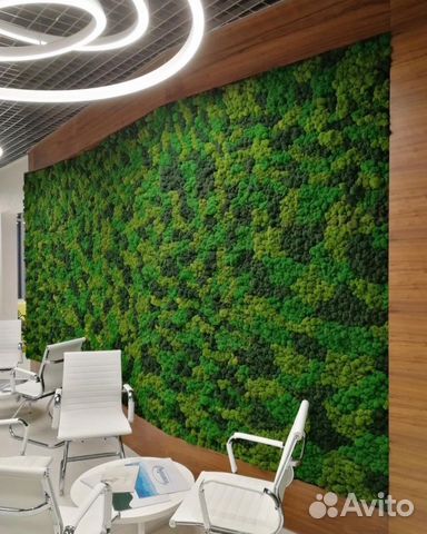 Панно из мха, вертикальное озеленение