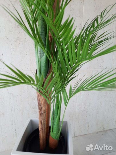 Искусственная пальма