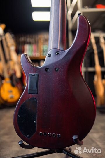 Cort B5-Element-opbr 5-струнный