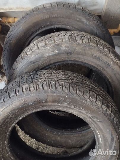 Viatti Brina V-521 175/65 R14