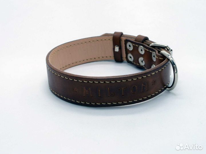 Ошейник для собак
