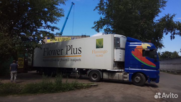 Continental ContiEcoContact 5 205/55 R16 91V