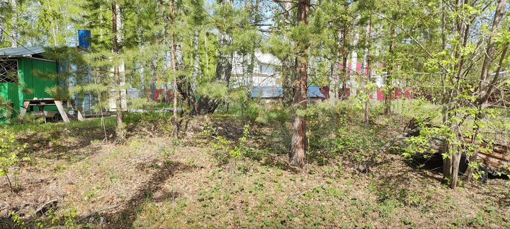 Участок 20,5 сот. (СНТ, ДНП)